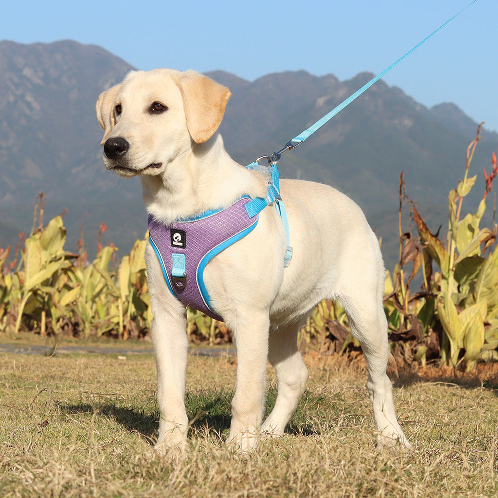 Breathable Pet Harness