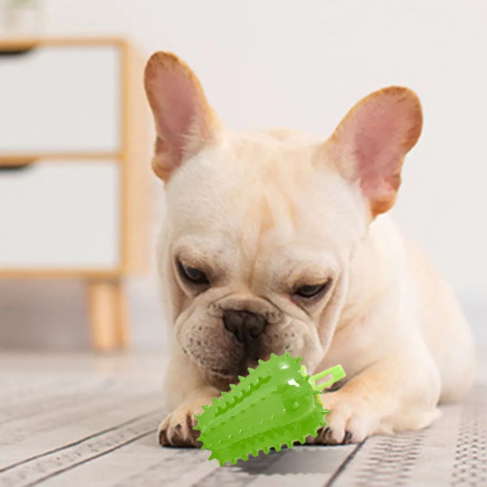 Dog Chew Toy