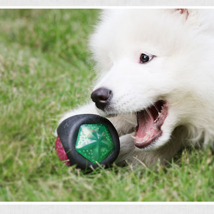 Dog toy ball