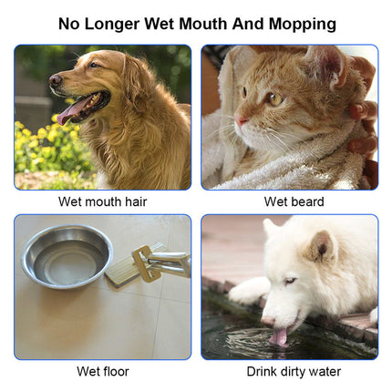 3-in-1 Pet Steam Brush