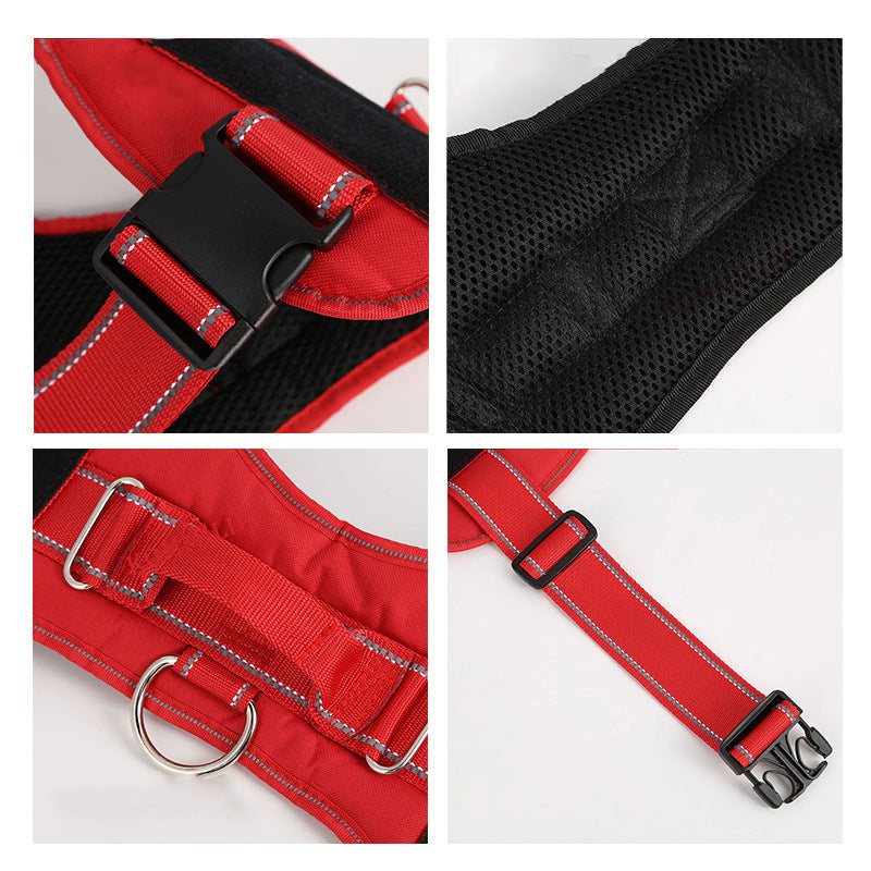 Personalized Dog Harness