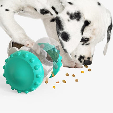 Interactive Slow Feeder