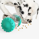 Interactive Slow Feeder