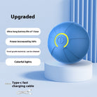 Electric Jumping Dog Ball
