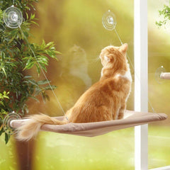 Collection image for: pet Hammocks
