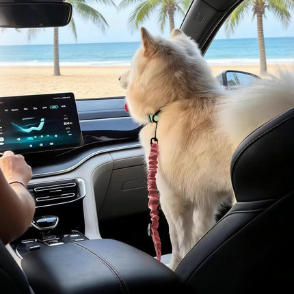 Dog Car Safety Belt
