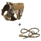 Camouflage set / L