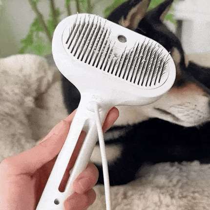 3-in-1 Pet Steam Brush