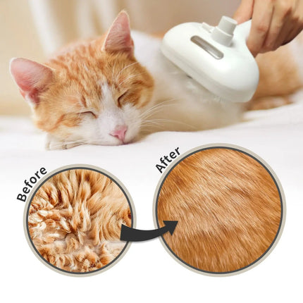 3-in-1 Pet Steam Brush
