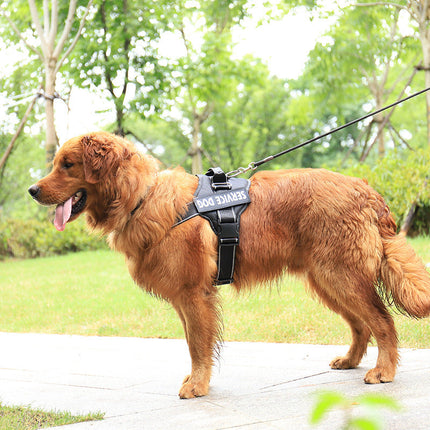 Personalized Dog Harness