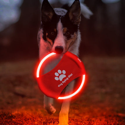 LED Dog Flying Disc