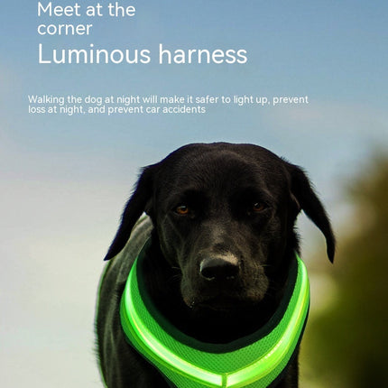 LED Light Dog Harness