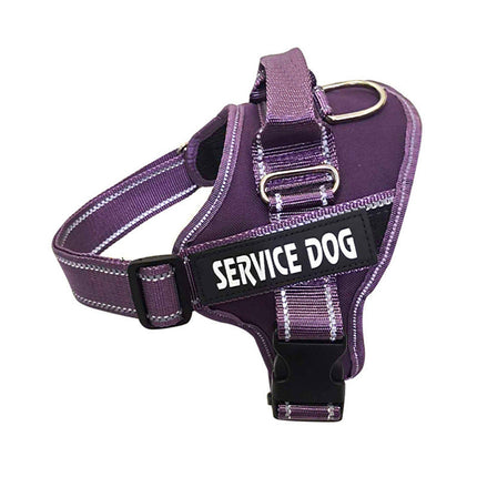 Personalized Dog Harness